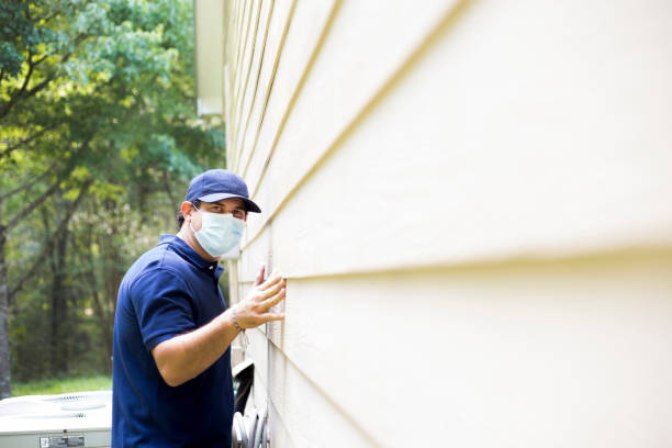 Best Custom Trim and Detailing for Siding  in Brentwood, MD